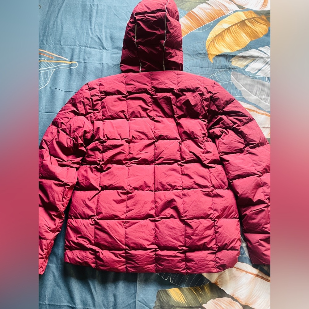 Jacket - Picture 2 of 3